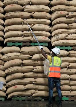 Workers Packaging Commodities
